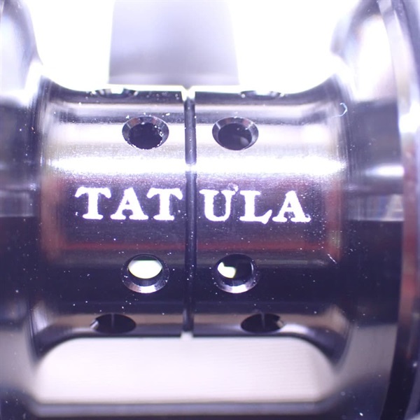 １９タトゥーラＴＷ１００ＳＨＬ